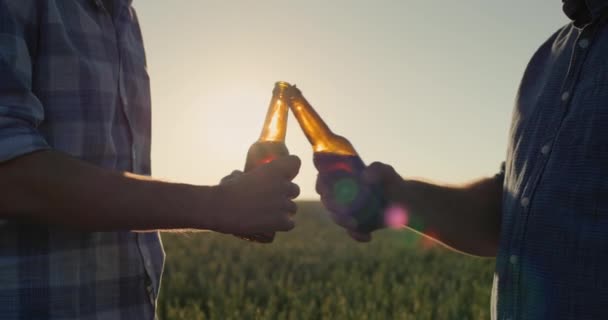 Çiftçi Buğday Tarlasının Arka Planında Bira Şişelerini Birbirine Vuruyor Çerçevede — Stok video
