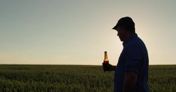 Yalnız Adam Buğday Tarlasında Bira Içiyor — Stok video