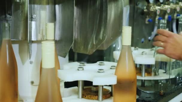 Şarap Şişeleri Tıpa Tıpası Ile Kapalı Taşıyıcı Bant Boyunca Hareket — Stok video