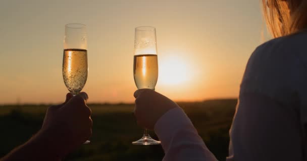 Руки Бокалами Шампанского Звенят Фоне Живописного Пейзажа Заходит Солнце — стоковое видео