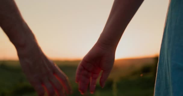 一对年轻夫妇在一个风景如画的山谷的背景下牵着手 — 图库视频影像