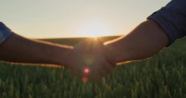 Buğday tarlasının arka planında iki başarılı çiftçinin enerjik tokalaşması.