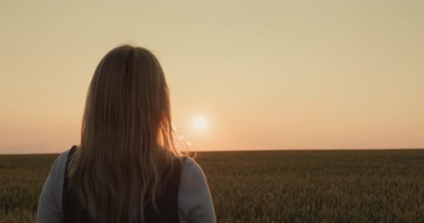 Farmer Kobieta Podnoszenie Puchar Mistrza Polu Pszenicy Zachodzie Słońca — Wideo stockowe