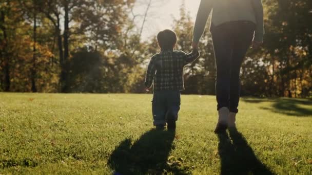 Eine Frau Geht Mit Ihrem Sohn Durch Den Park Führt — Stockvideo