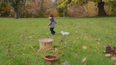 Tasasız Asyalı çocuk yeşil çimlerde köpek yavrularıyla koşuyor. Yavaş çekim 4k video