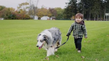 Küçük Asyalı çocuk büyük çoban köpeğiyle parkta yürüyor..