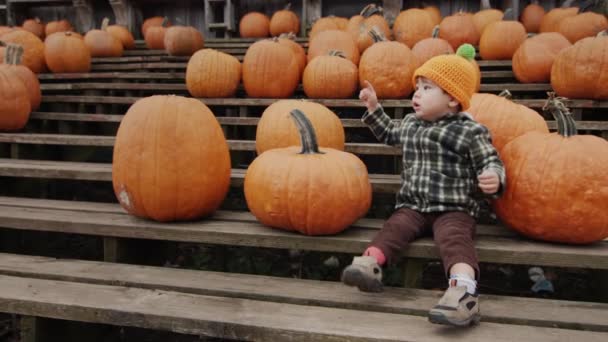 Cheerful Kid Sits Bench Rows Pumpkins Autumn Fair Honor Halloween — Stok video