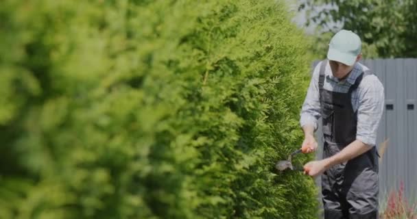 Young Gardener Overalls Cuts Trees Garden — Stock Video