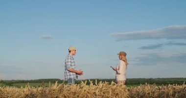 İki çiftçi buğday tarlasının arka planında iletişim kuruyor. Tablet kullanıyorlar..