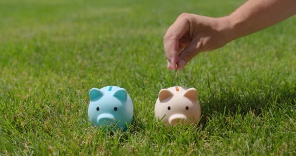 手は緑の芝生の上に立つ2つの貯金箱にコインを入れます 家族の予算概念 — ストック動画