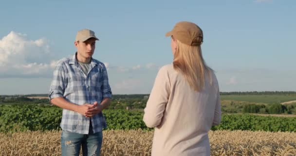 Två Jordbrukare Kommunicerar Bakgrunden Ett Vetefält Använder Tablett — Stockvideo