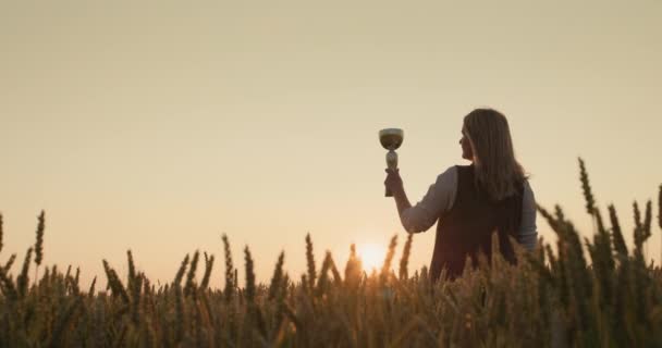 日落时分在麦田里举起冠军奖杯的农民妇女 — 图库视频影像