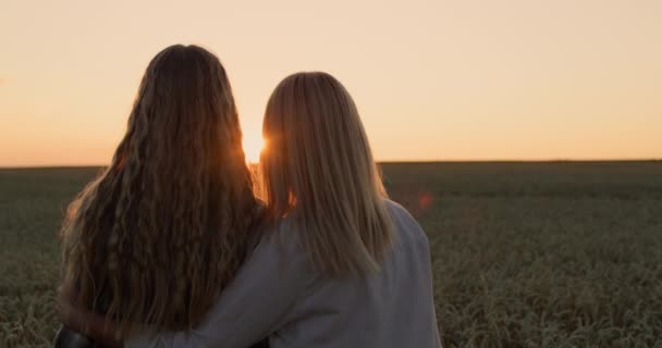 Duas Mulheres Admirando Pôr Sol Sobre Campo Trigo Vista Traseira — Vídeo de Stock
