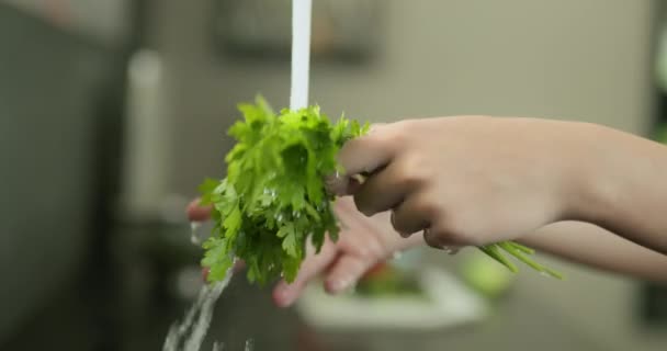 Vrouwen Handen Wassen Een Bos Groene Peterselie Onder Kraanwater Slow — Stockvideo