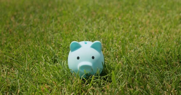 Ein Mann Steckt Münzen Ein Sparschwein Das Auf Einem Grünen — Stockvideo