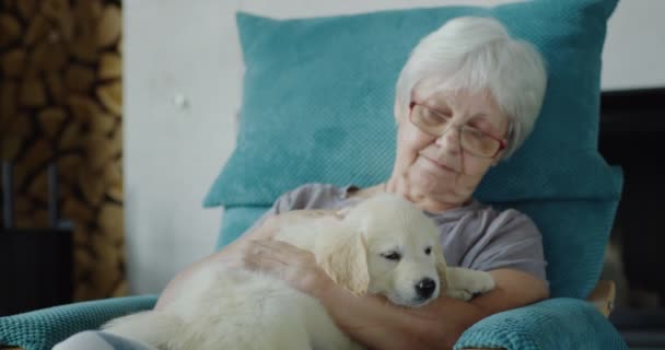 Elderly Woman Resting Chair Puppy Her Arms Home Comfort Secure — Stock Video