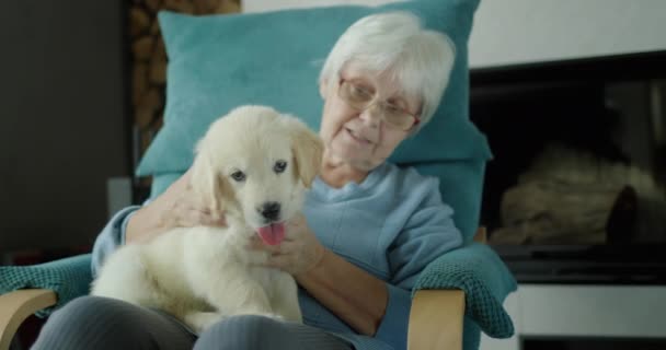 Donna Anziana Felice Che Riposa Sulla Sedia Con Cucciolo Tra — Video Stock