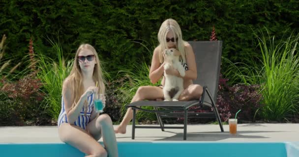 Mutter Tochter Und Welpe Entspannen Sich Pool Gute Gemeinsame Zeit — Stockvideo
