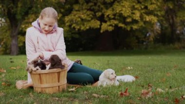 Child in autumn park playing with puppies on lawn.