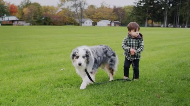 Klein Aziatisch Kind Wandelen Met Grote Herder Hond Het Park — Stockvideo