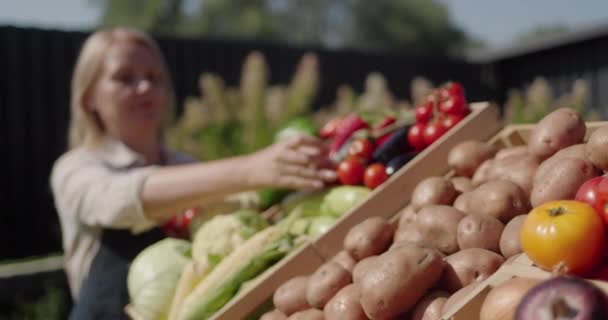 Een Vrouw Legt Groenten Toonbank Verhandelend Boerenmarkt Voorgrond Staat Een — Stockvideo