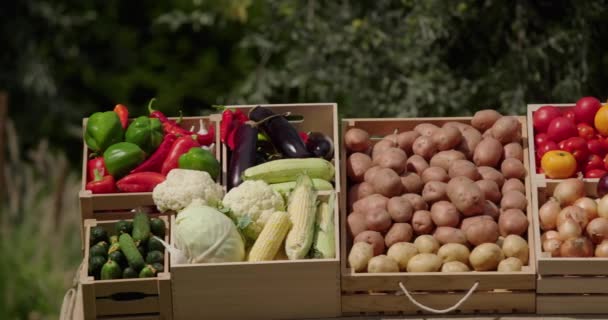 Puesto Con Varias Verduras Mercado Agricultores — Vídeos de Stock