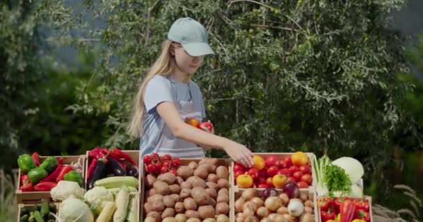 Een Tienermeisje Verkoopt Seizoensgroenten Een Boerenmarkt Arrangeert Groenten Toonbank — Stockvideo