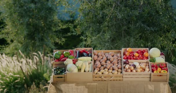 地元の生産者からの季節の野菜を使ったストール 木箱の新鮮な野菜 — ストック動画