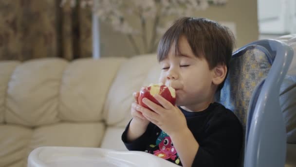 Yaşındaki Bir Çocuk Büyük Kırmızı Bir Elma Yiyor Video — Stok video