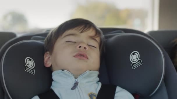 Miúdo Adormecido Conduz Banco Trás Carro Asiático Bebê Dorme Assento — Vídeo de Stock
