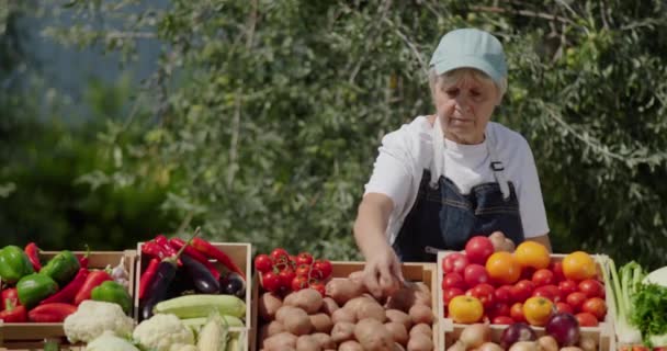 Продавцы Кладут Картошку Прилавок Торговля Местными Овощами Сельскохозяйственной Выставке — стоковое видео