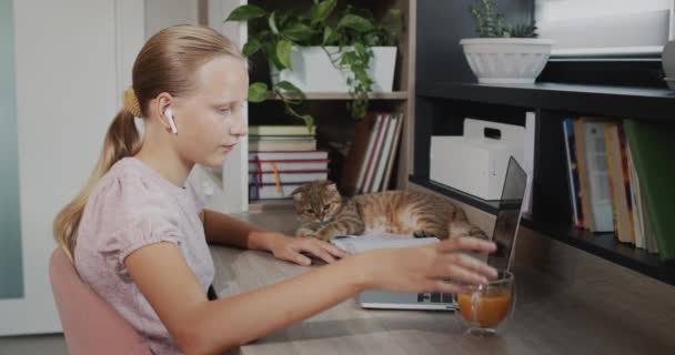 Child Engaged Laptop Her Room Next Her Red Cat — 图库视频影像