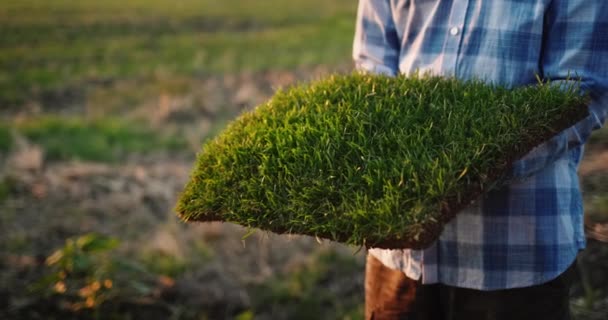 Homem Tem Pedaço Solo Onde Relva Verde Cresce Ecologia Respeito — Vídeo de Stock