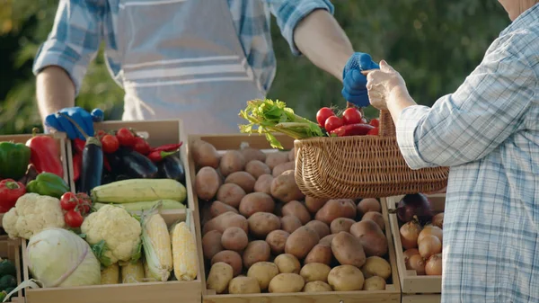 女性は農家市場で新鮮な野菜を買っている 店のアシスタントは彼女に野菜のバスケットを手渡します — ストック写真