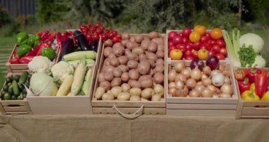 Çiftçi pazarında çeşitli sebzelerle dolu bir tezgah. 4k video