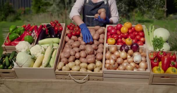 Jordbrukare Handskar Händer Lägga Grönsaker Marknaden Räknare — Stockvideo