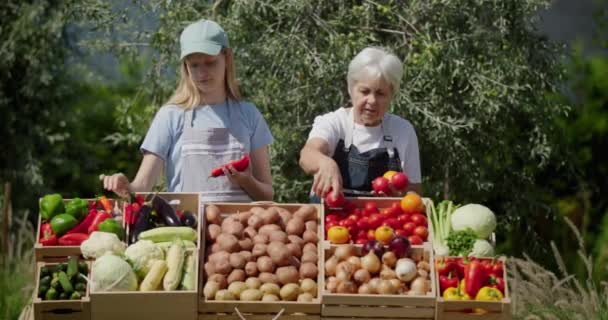 Een Oudere Boerenvrouw Haar Kleindochter Leggen Seizoensgroenten Neer Bij Boerenmarkt — Stockvideo