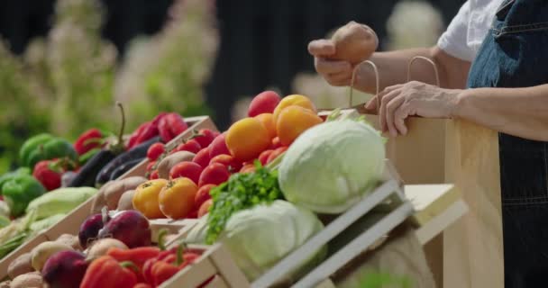 Satıcı Patatesleri Bir Kese Kağıdına Koyar Çiftçi Pazarında Sebze Satmak — Stok video