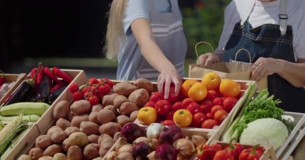 Жінка Онука Продають Овочі Ринку Вони Кладуть Помідори Паперовий Пакет — стокове відео