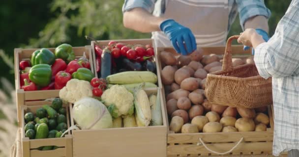 Eine Frau Kauft Frisches Gemüse Auf Einem Bauernmarkt Die Verkäuferin — Stockvideo