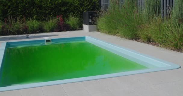 Grünes Wasser Einem Heimischen Pool Hinterhof Eines Hauses Aufgebläht Durch — Stockvideo