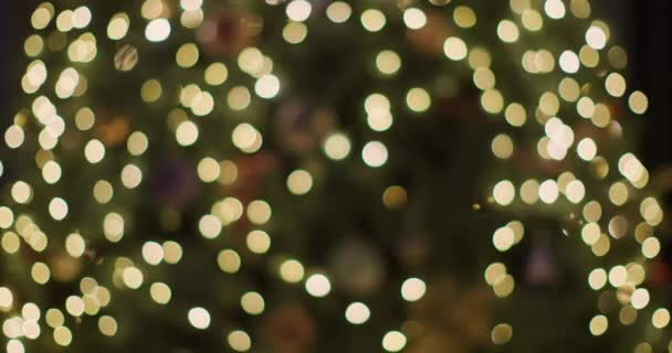 Large Family Clinks Glasses Champagne Backdrop Blurry Christmas Tree Lights — Stock Video