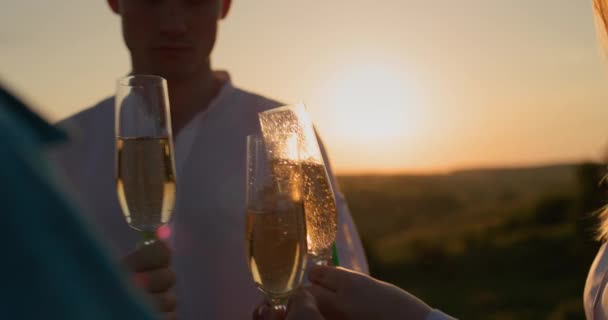 Arkadaşlar Şampanya Içerler Resimli Bir Vadide Kadeh Tokuştururuz — Stok video