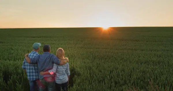 A friendly family of farmers admiring the sunset over a field of wheat.