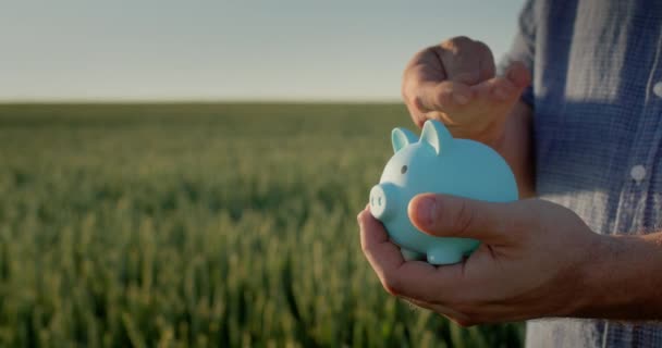 農夫は まだ緑色の小麦のフィールドの背景に立って 豚の銀行にコインを置きます — ストック動画