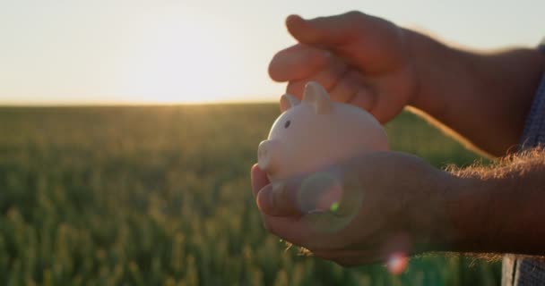 農夫は 日没に小麦の畑の背景に立って 豚の銀行にコインを置きます — ストック動画