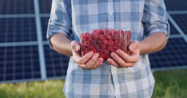 Farmer Holds Plastic Container Fresh Raspberries Panels Solar Power Plant — Stockvideo