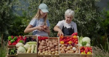 Genç bir kız çiftçi pazarında sebze satan büyükannesine yardım ediyor..