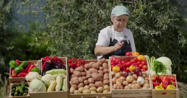 Ältere Bäuerin Verkauft Gemüse Auf Bauernmarkt — Stockvideo
