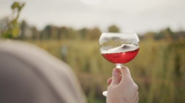 Bir adam tatmak için bir kadeh kırmızı şarap tutuyor, gün batımından önce üzüm bağının yanında duruyor..